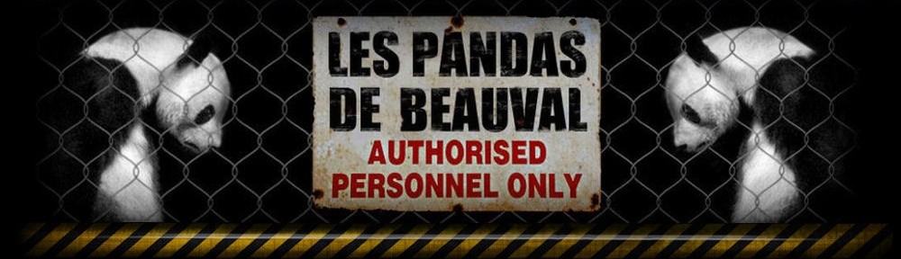 Les-pandas-de-Beauval